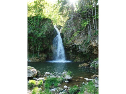 clover falls